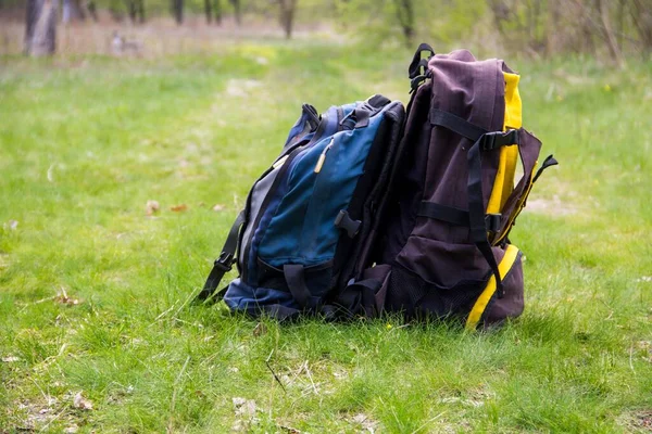 Dva turistické batohy na zelené trávě. Koncept cestování a aktivního životního stylu — Stock fotografie