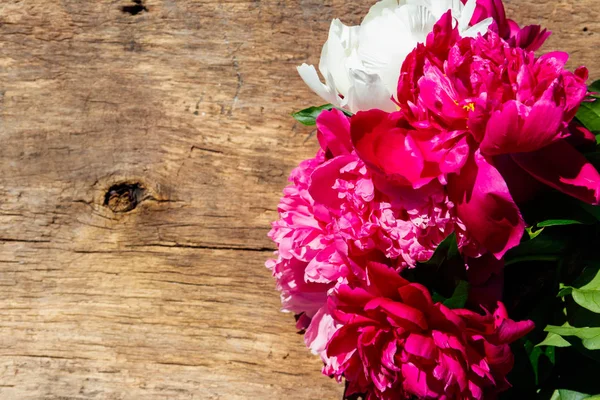 Hermosas flores de peonía sobre fondo rústico de madera. Vista superior, espacio de copia — Foto de Stock