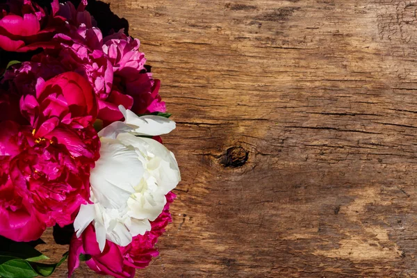 Hermosas flores de peonía sobre fondo rústico de madera. Vista superior, espacio de copia — Foto de Stock