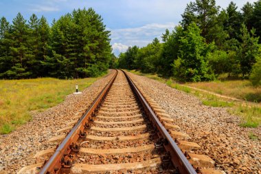 Yeşil bir çam ormanının içinden geçen tren yolu.