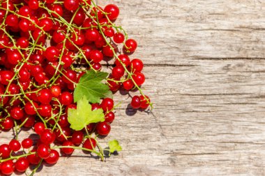 Rustik ahşap arka plan üzerinde kırmızı frenk üzümü meyveleri. Üst görünüm, kopyalama alanı