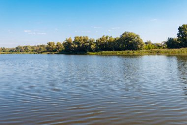 Güzel bir nehir, yeşil ağaçlar ve mavi gökyüzü olan yaz manzarası