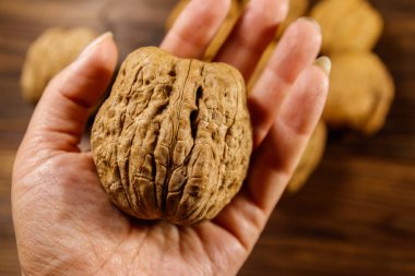 Dişi elinde dev ceviz