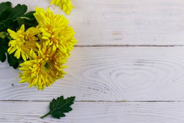 Beyaz ahşap arka planda sarı kasımpatılar. Üst görünüm, alanı kopyala