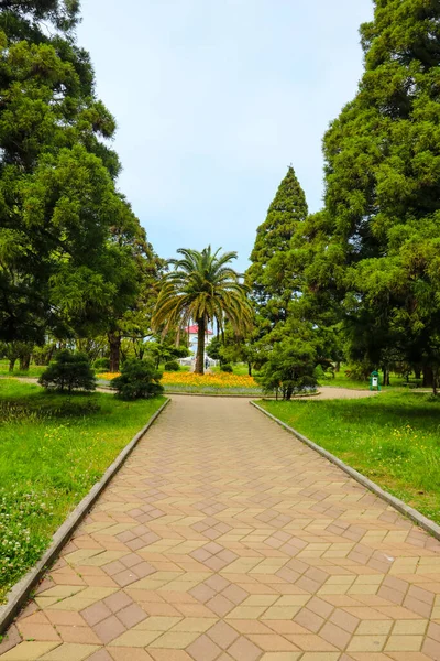 Krásný Výhled Botanickou Zahradu Batumi Georgia — Stock fotografie
