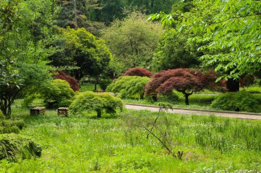 Gürcistan, Batum botanik bahçesinin güzel manzarası