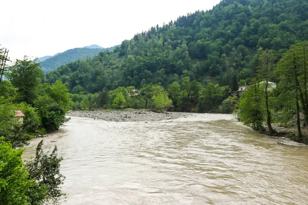 Vista Del Río Acharistskali Las Montañas Del Cáucaso Adjara Georgia — Foto de Stock