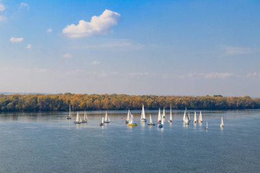Kremenchug, Ukrayna 'daki Dinyeper Nehri' ndeki yelkenli yarışlarında yatlar
