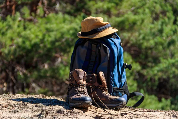 Tourist Backpack Hiking Boots Hat Glade Pine Forest Hike Concept — Stock Photo, Image