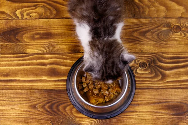 Small kitten eating his food from metal bowl on wooden floor