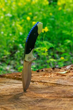 Yeşil ormanda tahta bir kütüğe saplanmış katlanır bıçak.