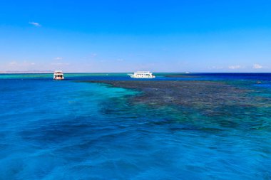 Beyaz yatlar Kızıldeniz'de mercan resifi yakınında demirledi, Mısır