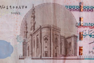 On Mısır sterlininin makro çekimi.