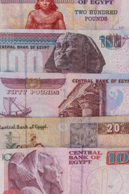 Farklı Mısır banknotlarının arkaplanı. Mısır para birimi
