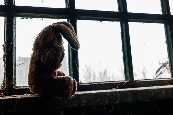 Altes Dreckiges Stofftier Kaninchen Auf Der Fensterbank Verlassenem Haus — Stockfoto