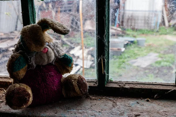 Old dirty stuffed toy rabbit on a windowsill in abandoned house