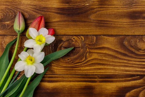 Ramo Narcisos Tulipanes Rojos Sobre Fondo Madera Tarjeta Felicitación Para — Foto de Stock