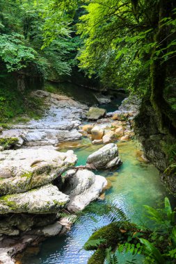 Georgia 'daki Martvili Kanyonu. Dağ nehri manzaralı güzel doğal kanyon Abasha
