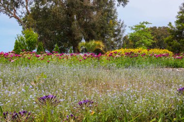 Gürcistan, Batum botanik bahçesinin güzel manzarası