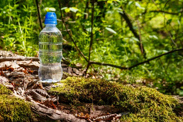 Plastikowa Butelka Słodką Wodą Pitną Zielonym Tle Lasu — Zdjęcie stockowe