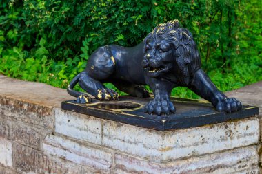 Pavlovsk Palace Park'ta büyük taş merdivenüzerinde aslan siyah heykeli