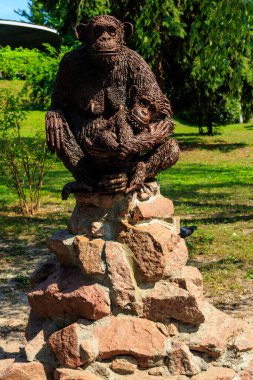 Kiev hayvanat bahçesindeki maymun heykeli, Ukrayna