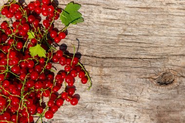Rustik ahşap arka plan üzerinde kırmızı frenk üzümü meyveleri. Üst görünüm, kopyalama alanı