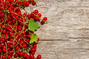 Rustik ahşap arka plan üzerinde kırmızı frenk üzümü meyveleri. Üst görünüm, kopyalama alanı