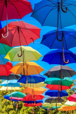 Şehir caddesinde çok renkli şemsiyeler. Şehir caddesi birçok renkli açık şemsiyelerle süslenmiştir.