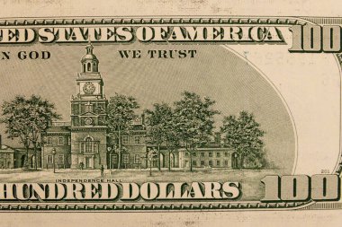 100 dolarlık makro çekim.