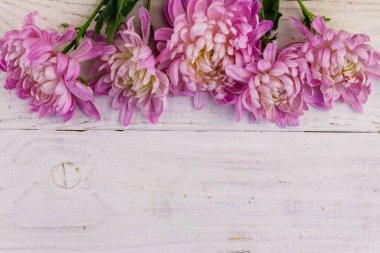 Beyaz ahşap arka planda güzel kasımpatılar. Üst görünüm, alanı kopyala