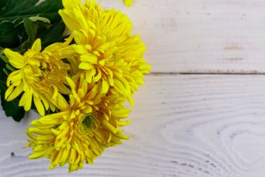 Beyaz ahşap arka planda sarı kasımpatılar. Üst görünüm, alanı kopyala