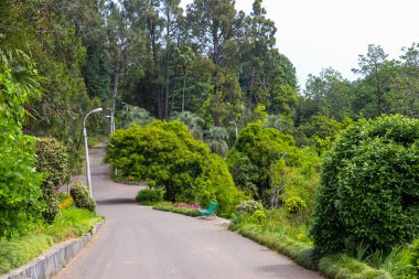 Gürcistan, Batum botanik bahçesinin güzel manzarası