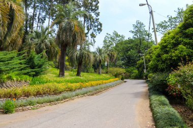 Gürcistan, Batum botanik bahçesinin güzel manzarası
