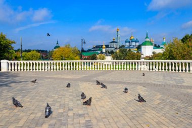 Rusya 'nın Sergiev Posad kentindeki Trinity Lavra manzaralı bir izleme platformunda güvercin sürüsü.