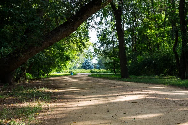 Footpath Green Park — Stock Photo, Image