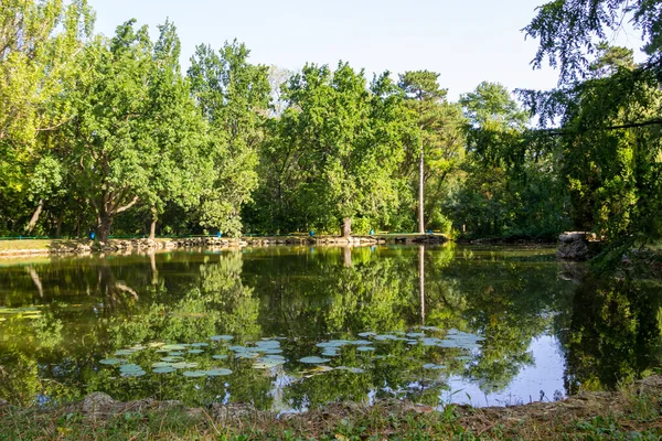 Kalm Meer Het Groene Park Zomer — Stockfoto