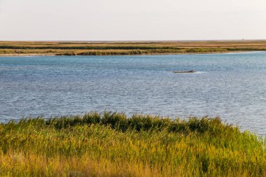 Ukrayna 'daki Sivash Gölü manzarası