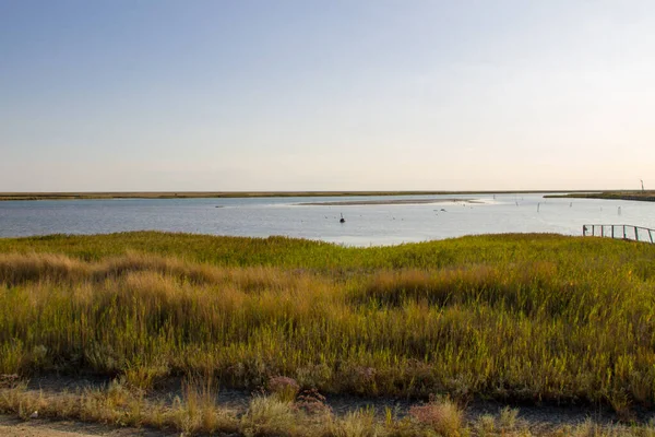 Vue Sur Lac Sivash Ukraine — Photo