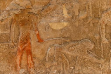 Taş duvara oyulmuş eski Mısır resimleri ve hiyeroglifleri.