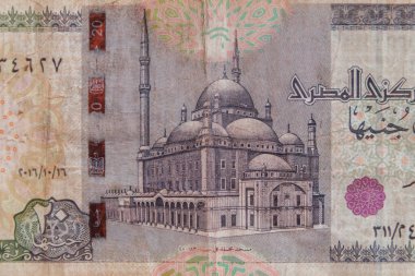 20 Mısır sterlininin makro çekimi.