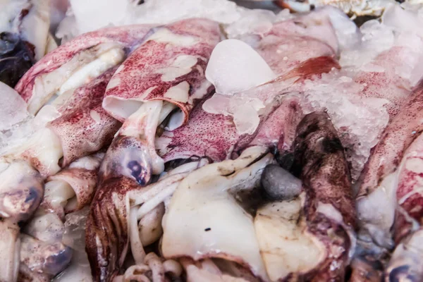 Сырые Свежие Кальмары Продажи Рынке Рыбы — стоковое фото