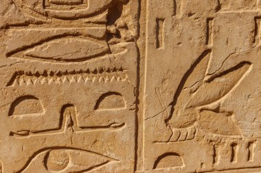 Mısır 'ın Luxor kentindeki Karnak Tapınağı Kompleksi' nin duvarında antik Mısır hiyeroglifleri var.