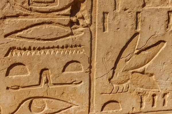 Hiéroglyphes Égyptiens Antiques Sur Mur Dans Complexe Temple Karnak Louxor — Photo