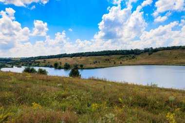 Güzel gölü olan yaz manzarası, yeşil çayırlar, tepeler, ağaçlar ve mavi gökyüzü.