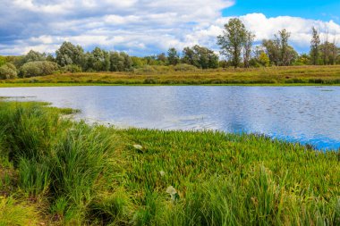 Güzel bir nehir, yeşil ağaçlar ve mavi gökyüzü olan yaz manzarası