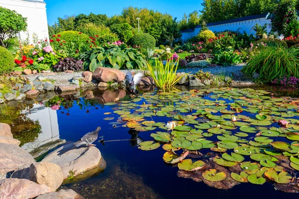 Beautiful landscaped garden pond with blooming water lilies