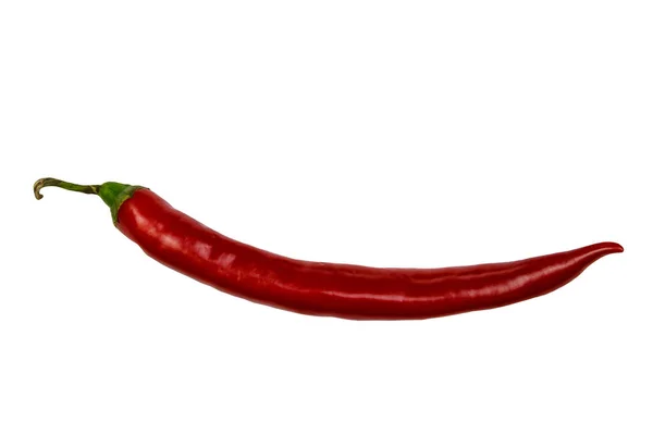 Czerwony Gorący Pieprz Chili Izolowany Białym Tle — Zdjęcie stockowe