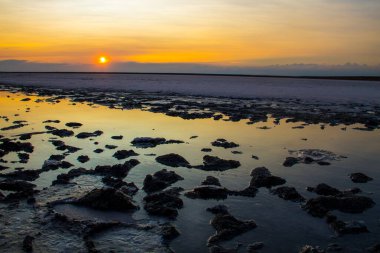 Tuzlu Siwash mikroalg tarafından antioksidan özellikleri için ünlü renkli göl su beta-karoten tarafından günbatımında zenginleştirici, pembe