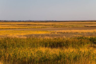 Ukrayna 'daki Sivash Gölü manzarası